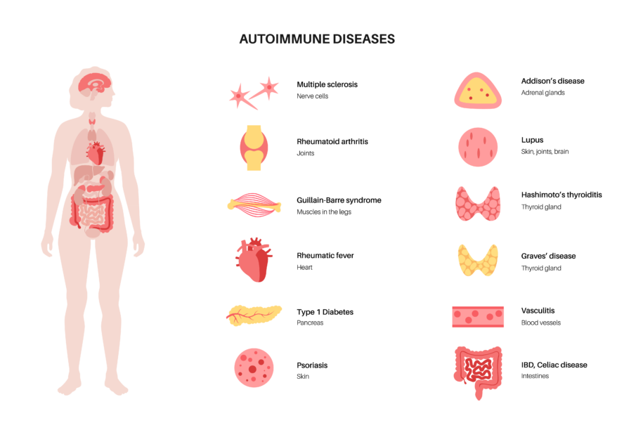 systems invovled in common autoimmune diseases. Autoimmune is more common in women than men.