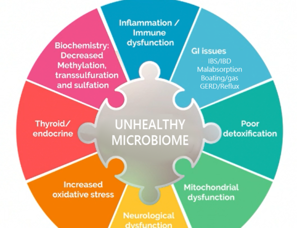 How the gut microbiome connects and influences brain function