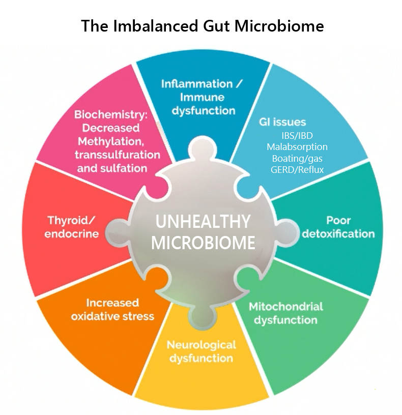How the gut microbiome connects and influences brain function