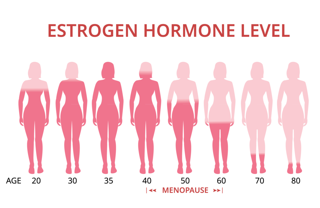 Estrogen changes throughout life
