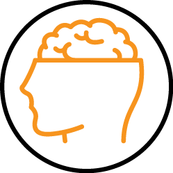 Brain, cognition, moods, anxiety have a methylation need