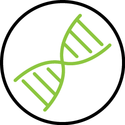 DNA is methylated to control genetic information