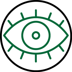 Good eyesight depends on methylation, especially as we age