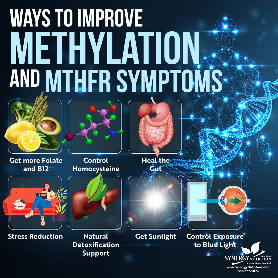 Methylation - MTHFR Symptoms